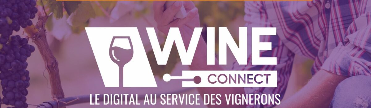 Wine Connect 2025